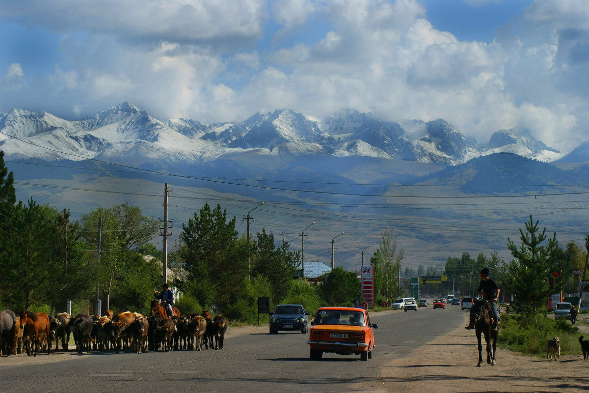 Тянь-Шань Киргизия август 2014 - Рыжик 