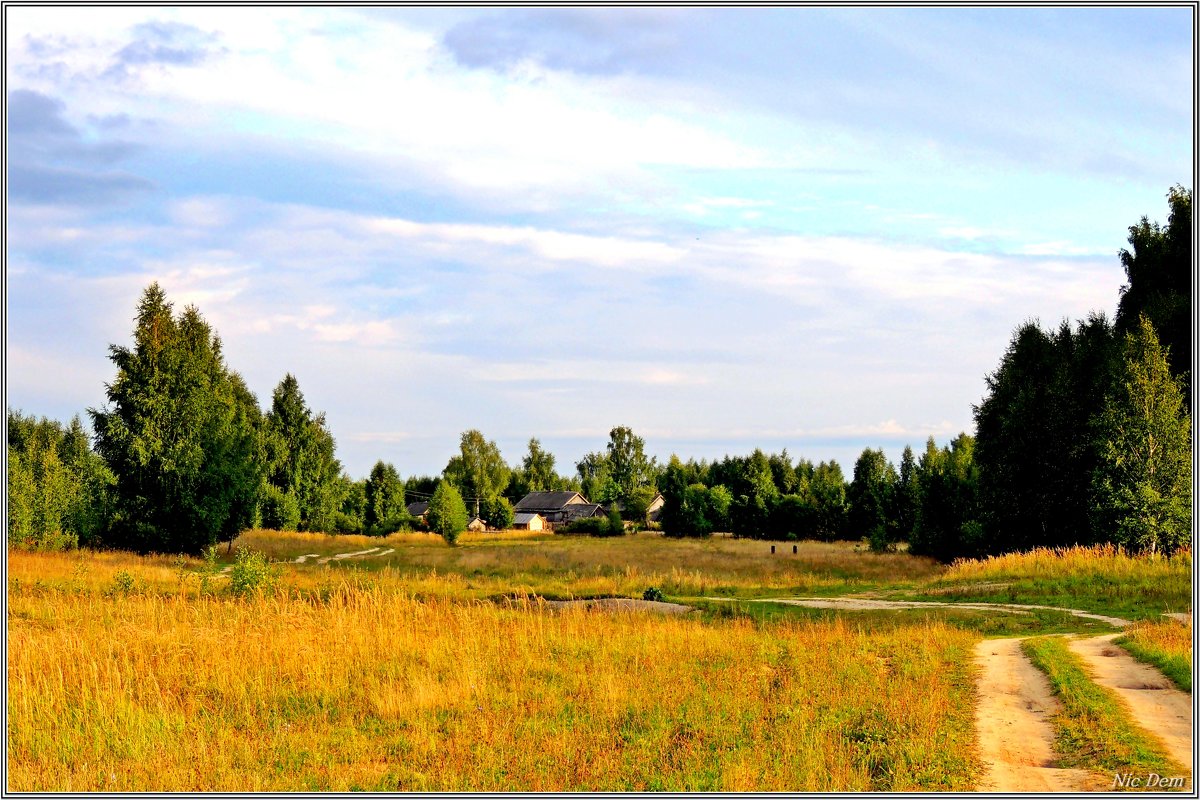 Деревенька в лесу - Николай Дементьев 