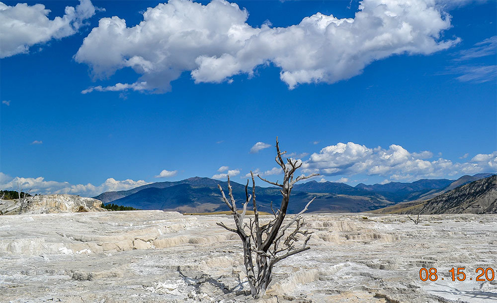 Yellowstone National Park. - Gene Brumer