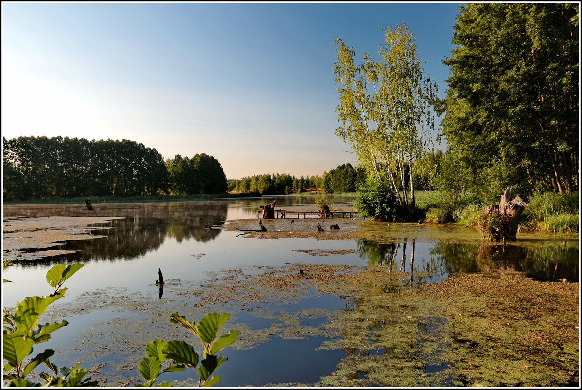 утро........... - Александр Липецкий