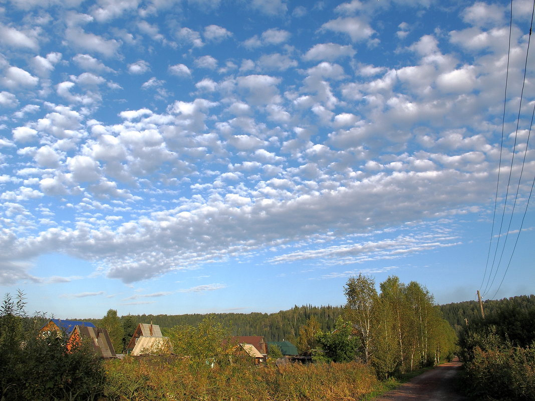 Первый день осени - Нина северянка