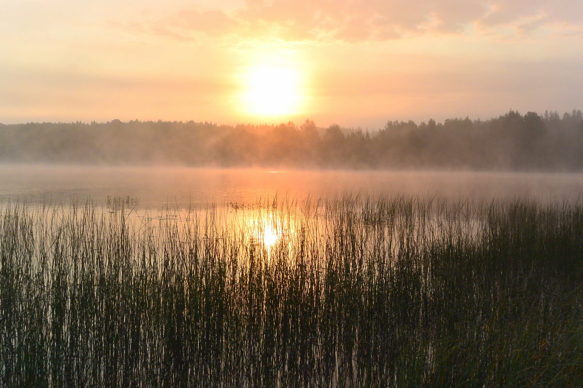 Рассвет на озере Рукоярви - Лидия Рьянова