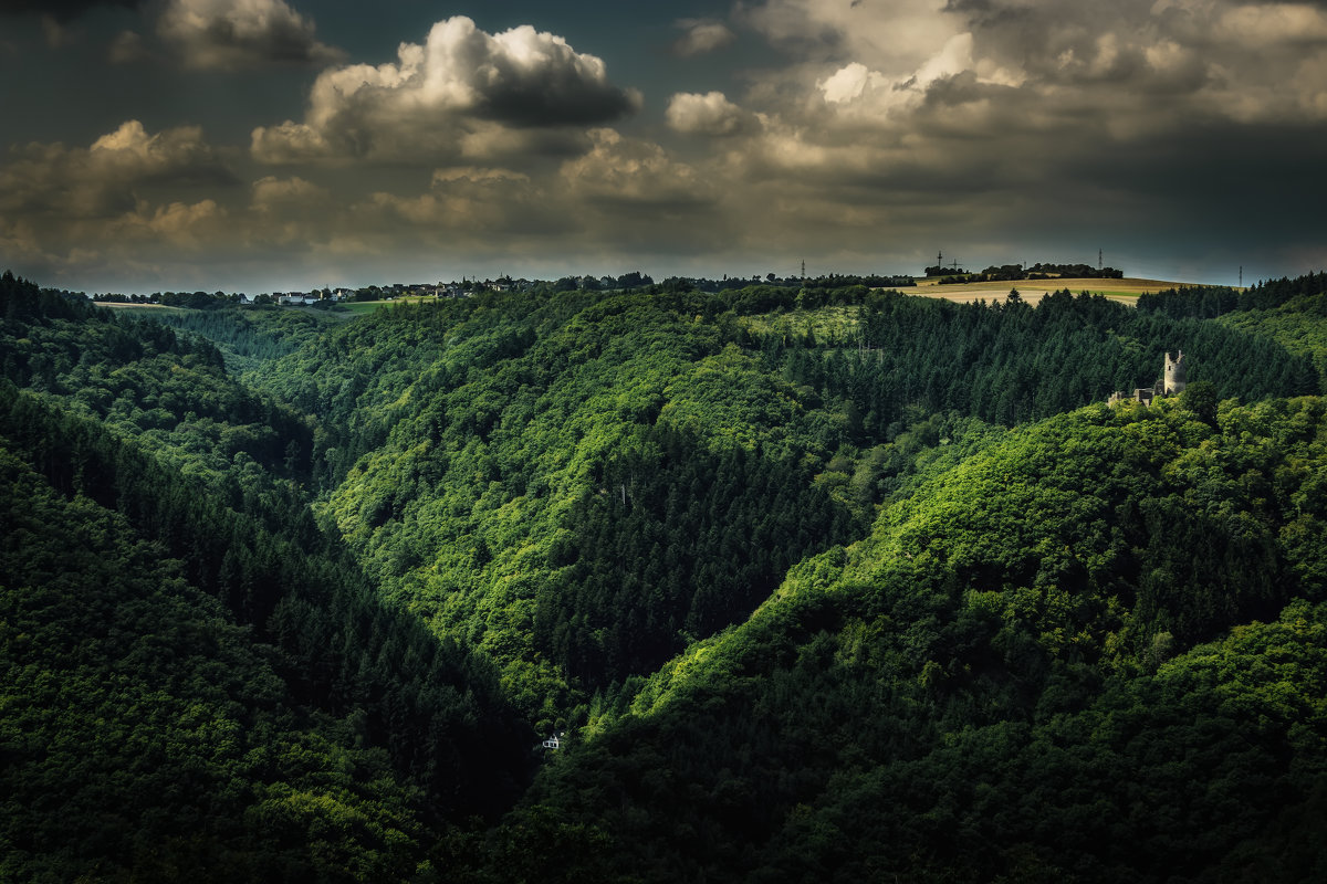 Germany - Nerses Davtyan