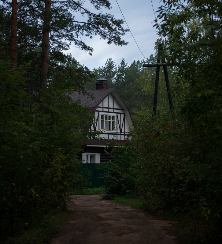 Домик в деревне - Дмитрий Тихомиров