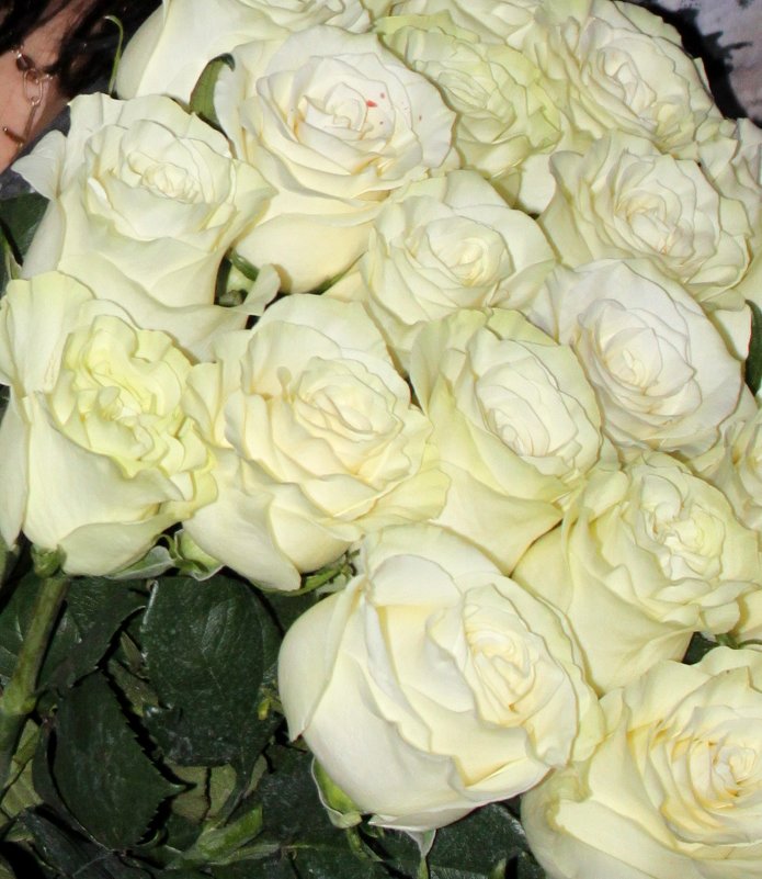 Букет из белых роз - Людмила 