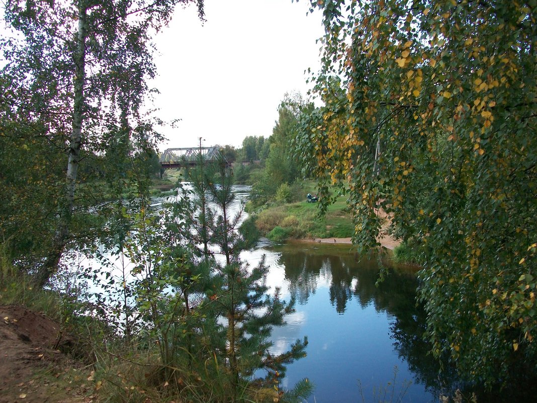 На берегу. Река Оредеж. - Виктор Елисеев