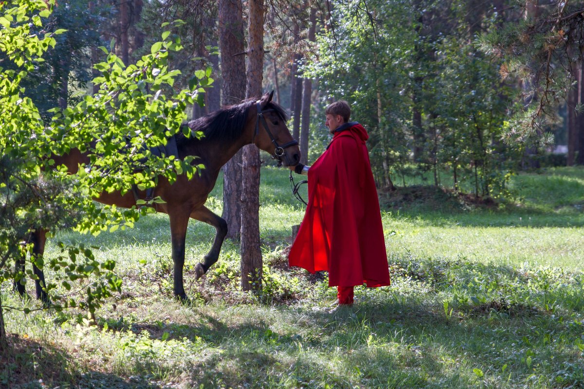 Всадник в лесу - Аркадий Русанов