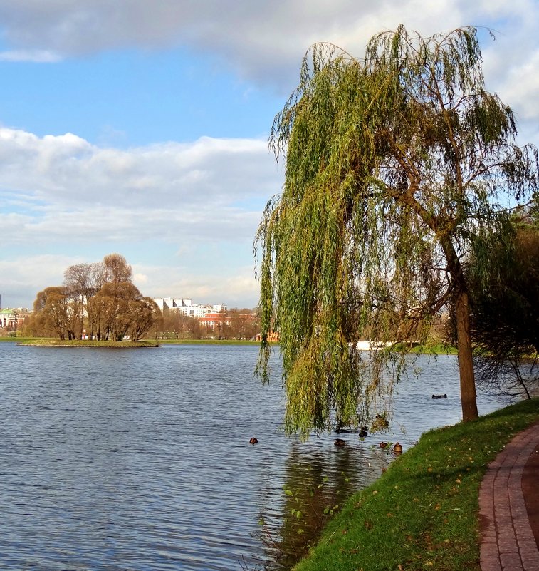озеро в парке - Валентина. .