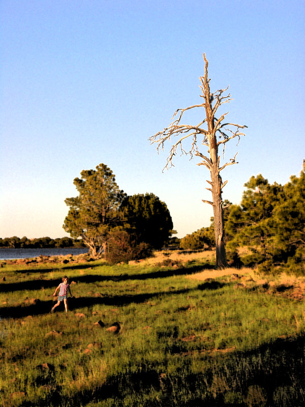 Пейзаж с сухим деревом и бегущей девочкой - Анатолий Бастунский