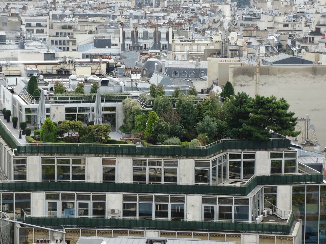 Сады Семирамиды на крышах Парижа - Светлана Лысенко