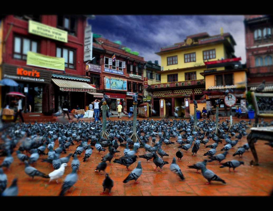 Kathmandu - Алексей 