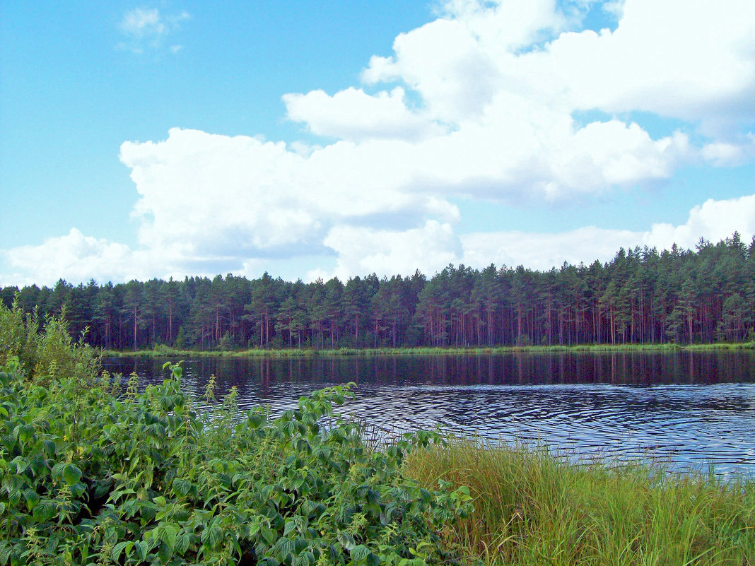 Озеро Круглое - alemigun 