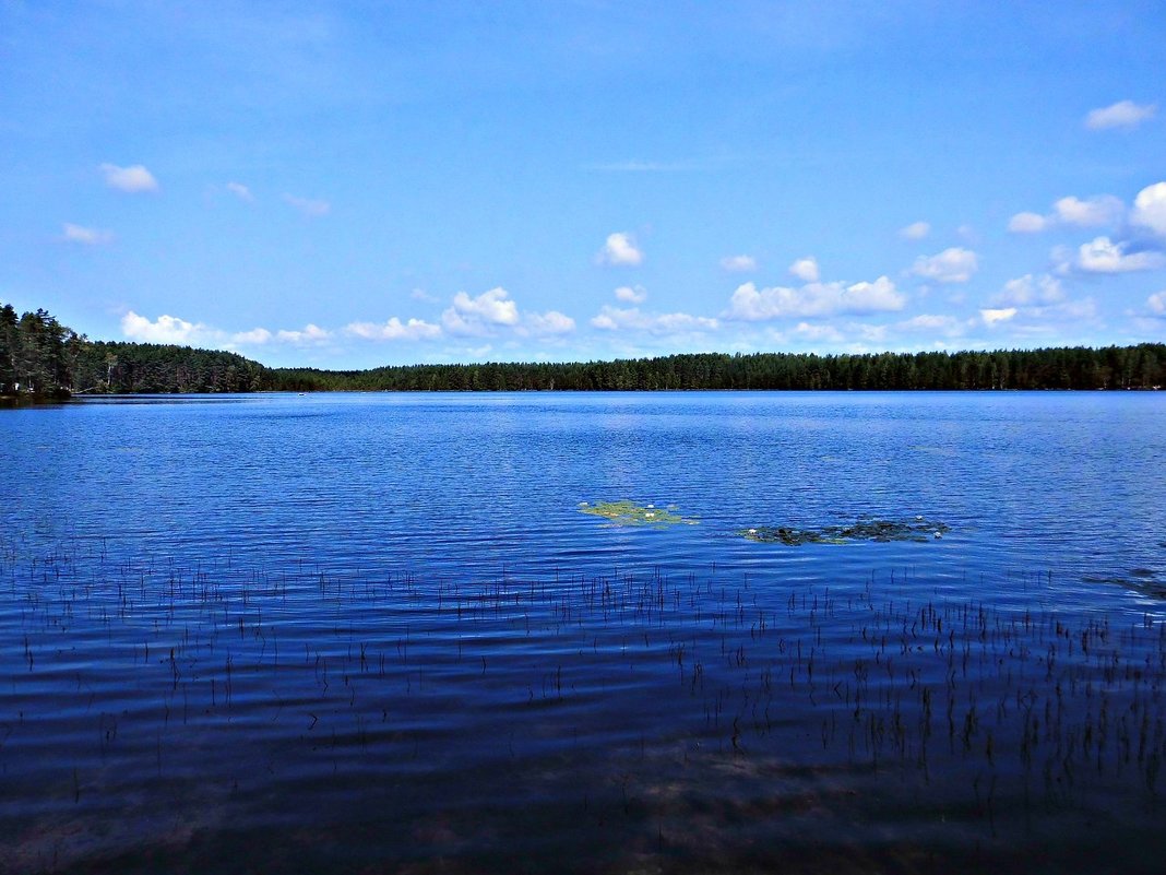 Озеро Приветное - Полина 