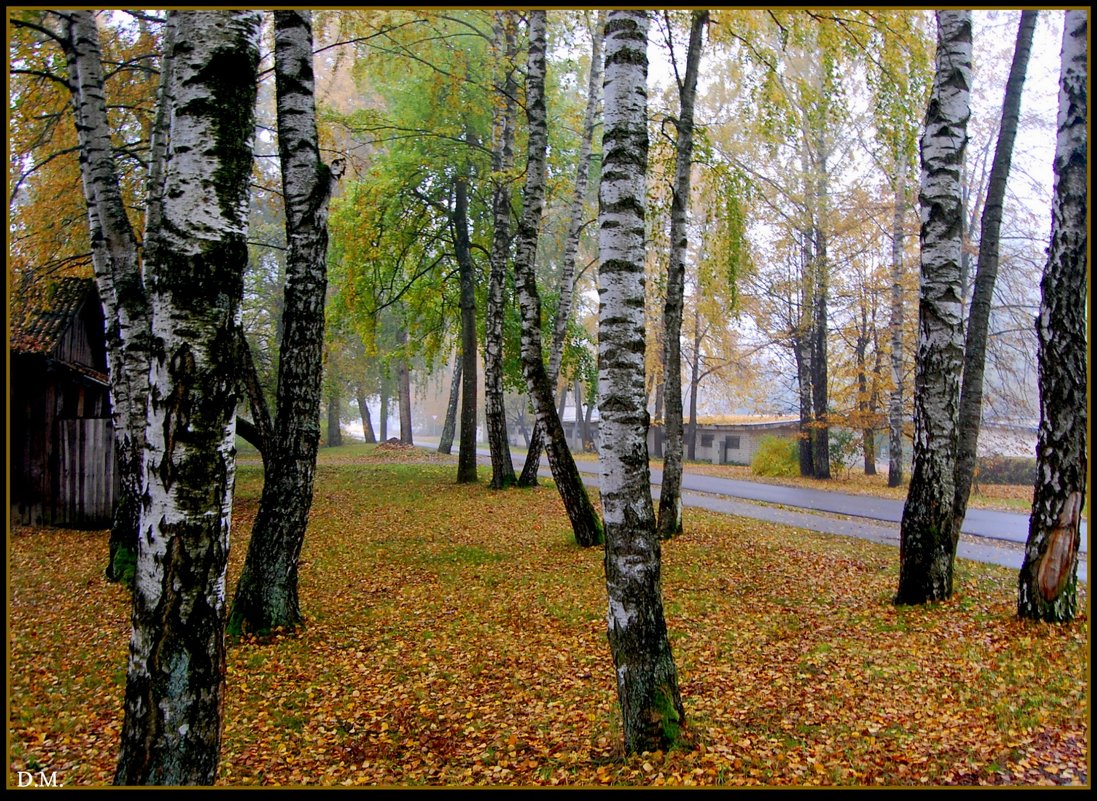 Pasmurnoje utro - Daiga Megne 