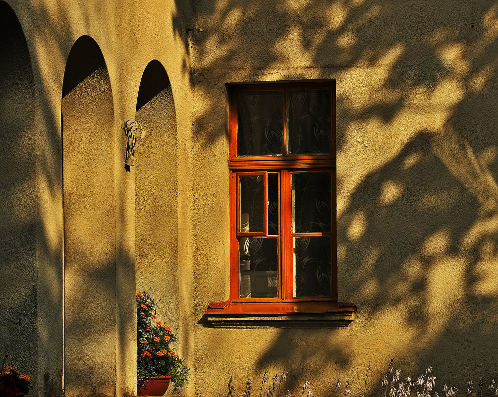 Итальянское окно - Дмитрий Близнюченко