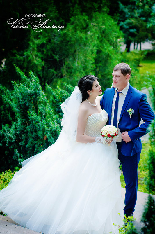 Свадебная фотография - Анастасия Володина