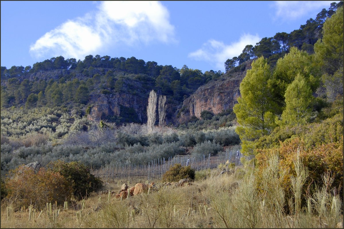 Las Fuentes Ispanija - Daiga Megne 