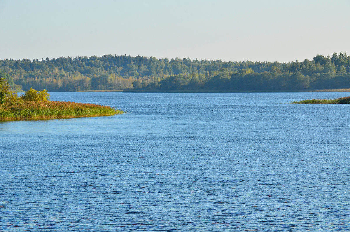 В осенней дымке - Miola 