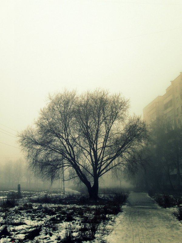 "...и на туман зима имеет виды..." - Геннадий Храмцов