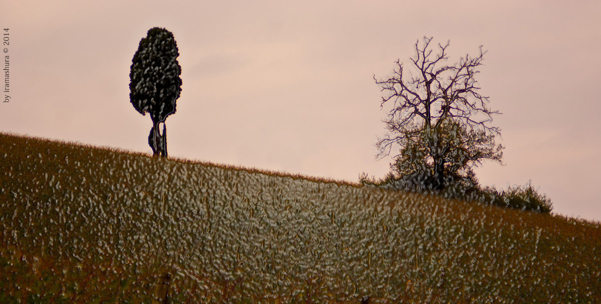 PAESAGGIO by iramashura, TOSCANA, 19-09-2014 - ira mashura