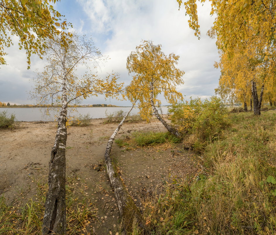 ***** - Дамир Белоколенко