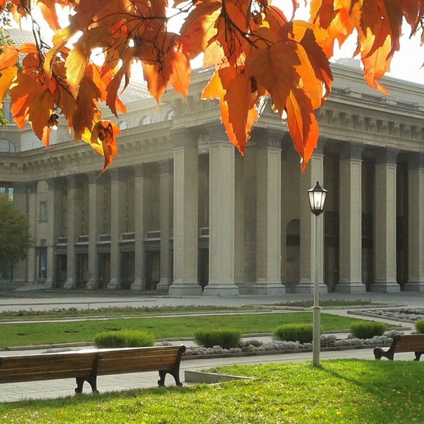 Осень пришла в Новосибирск - Виктория - репортажный фотохудожник