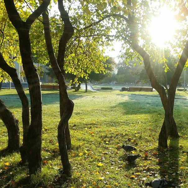Лучи утреннего солнца в сентябре - Виктория - репортажный фотохудожник