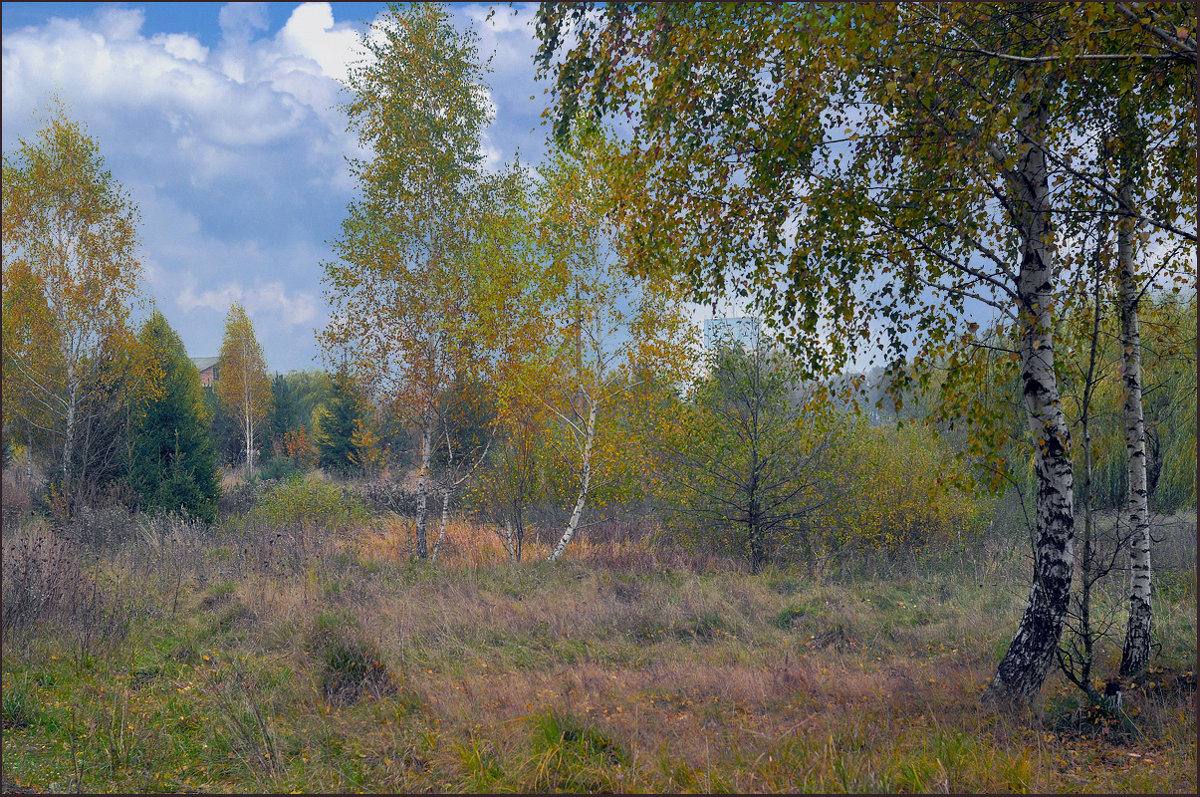 За городом - Тарас Грушивский