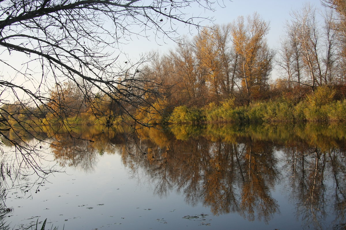 Тихая река - Олег Гудков