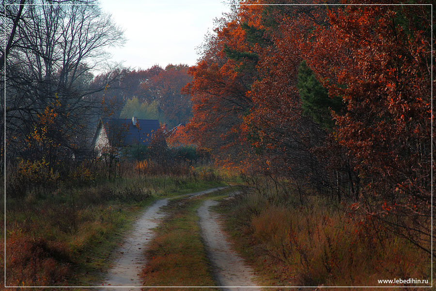 Осень в деревне - Дмитрий Лебедихин