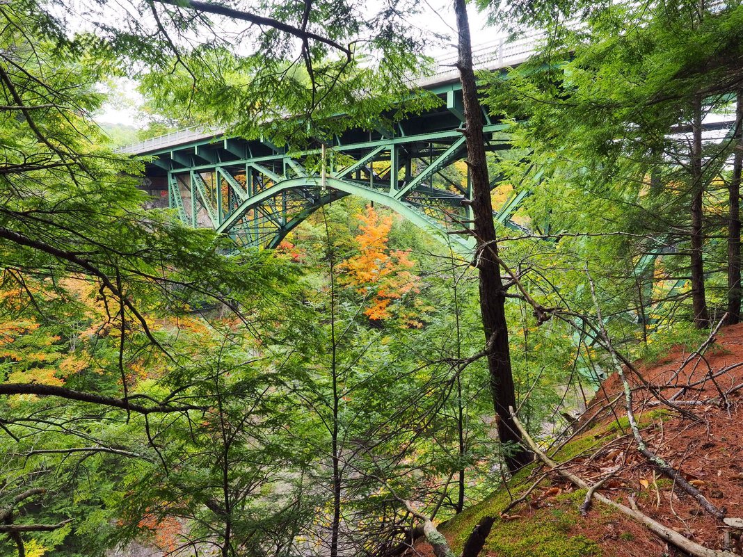 Queechee Gorge, Vermont - Vadim Raskin