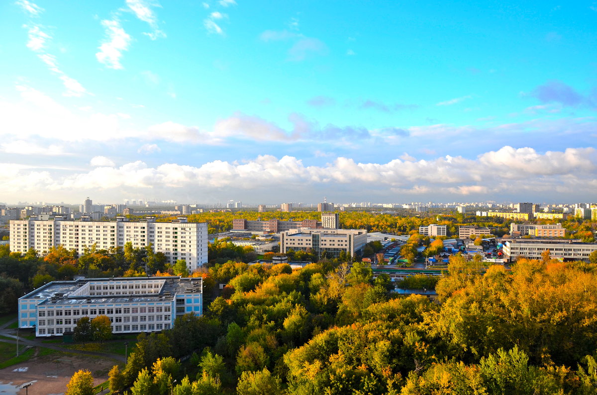 Осень в городе - Елена Солнечная