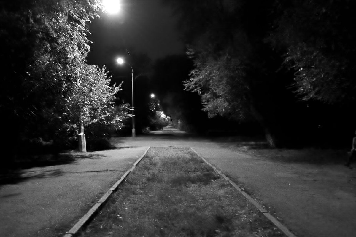 Ночной парк - Алекс Шенгела