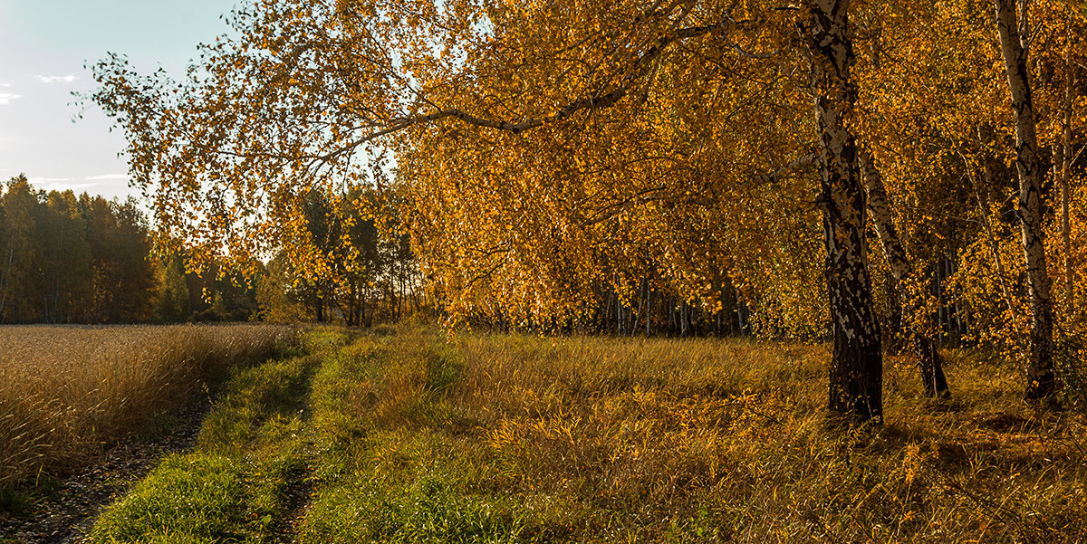 Золотая осень - Kassen Kussulbaev