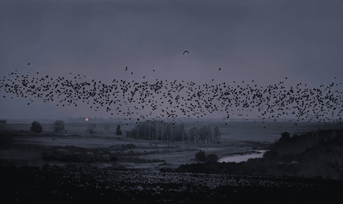Ночные птицы - Валерий Талашов