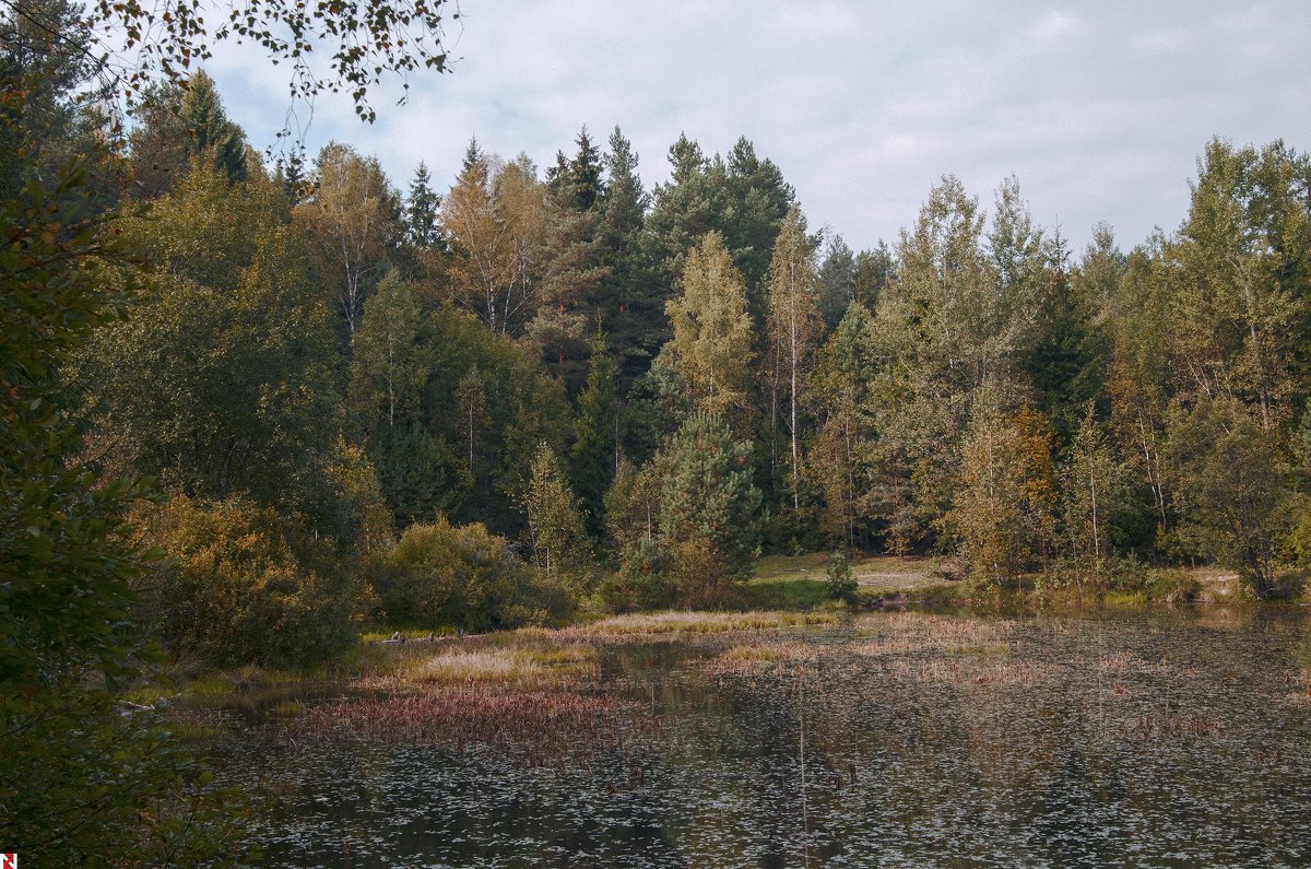 *** - Зьміцер Невяроўскі