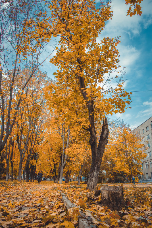 Осень-осень - Игорь 