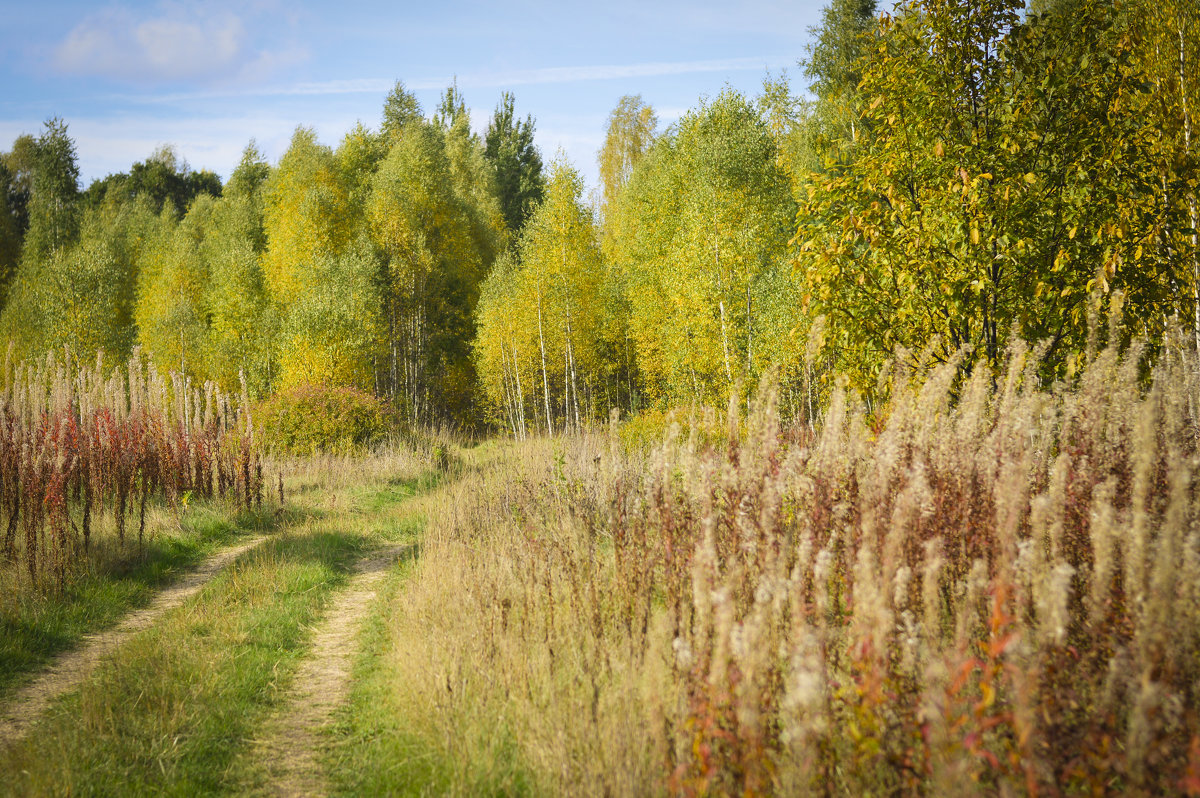 Дорога в осень - N. Efimkina