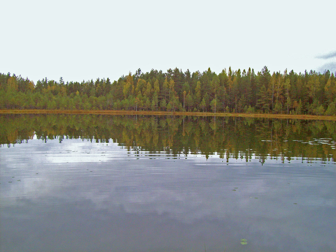 Лесное озеро - alemigun 