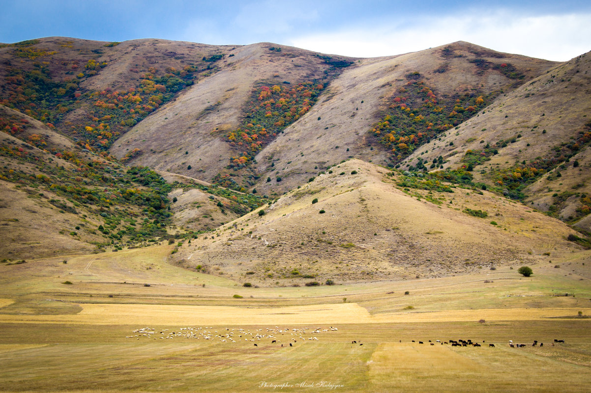 Осень на горах - Армения - Мисак Каладжян