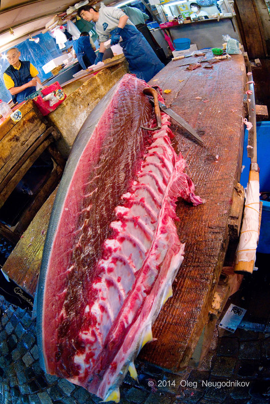 Разделка тунца на рыбном рынке Цукидзи (Токио) - Олег Неугодников