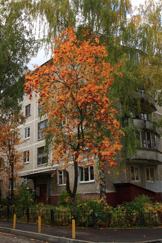 Осень в городе - Сергей Борденов