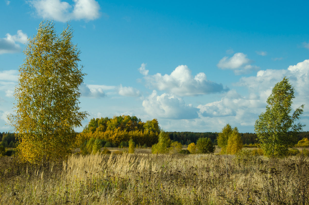 Осень - Андрей Зайцев