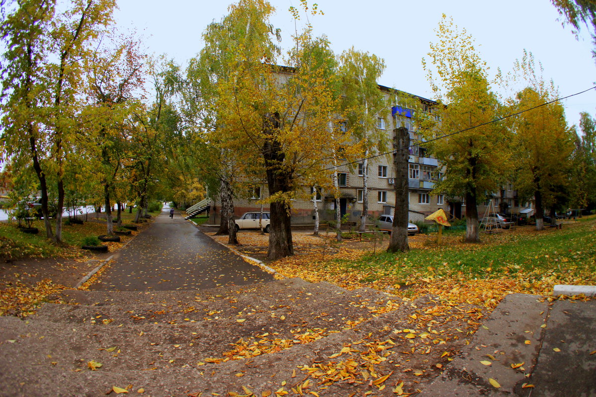 дворик - Алексей Медведев