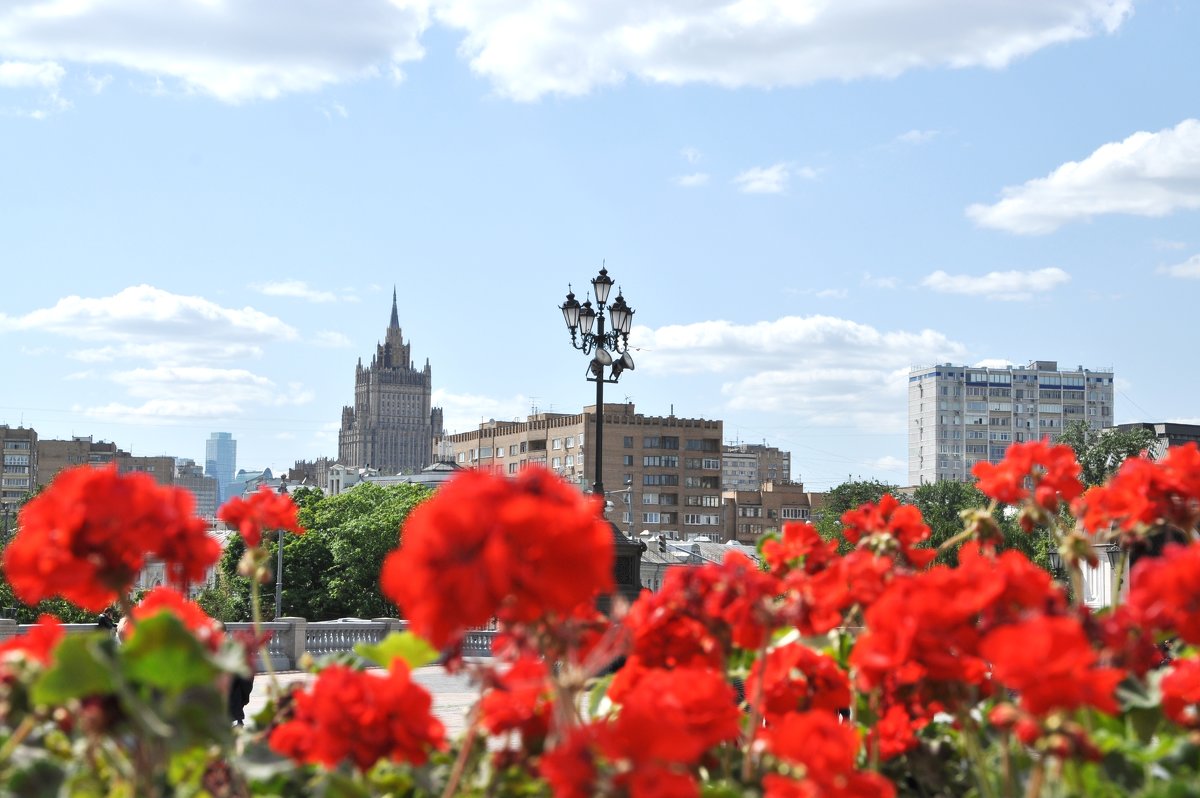 Москва цветёт - Жанна Литуева