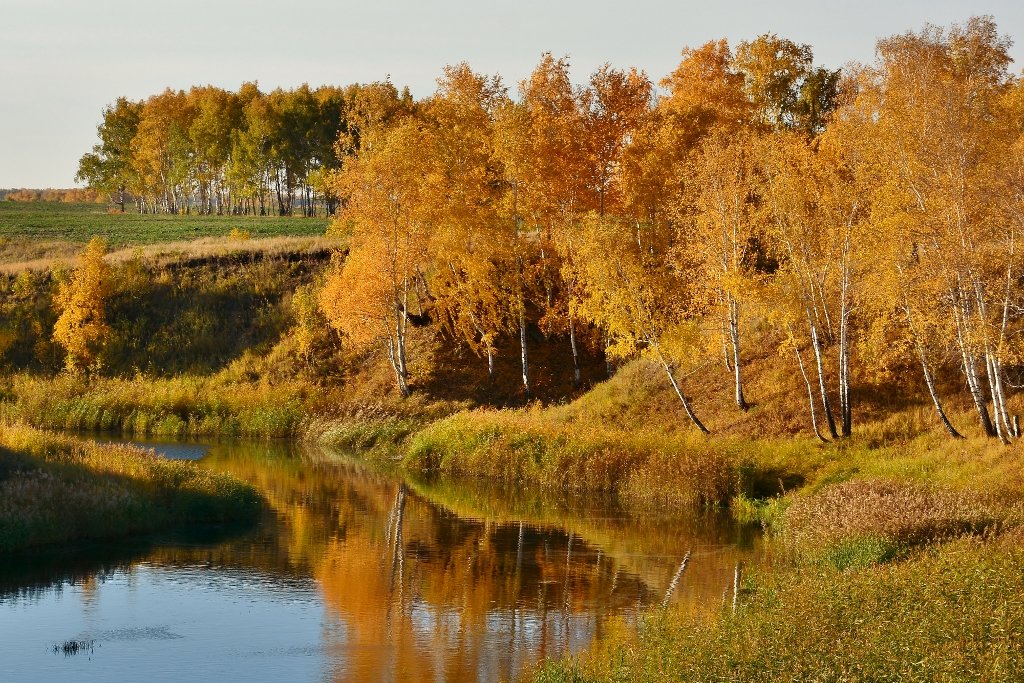 Осень  на  озере - Геннадий Супрун