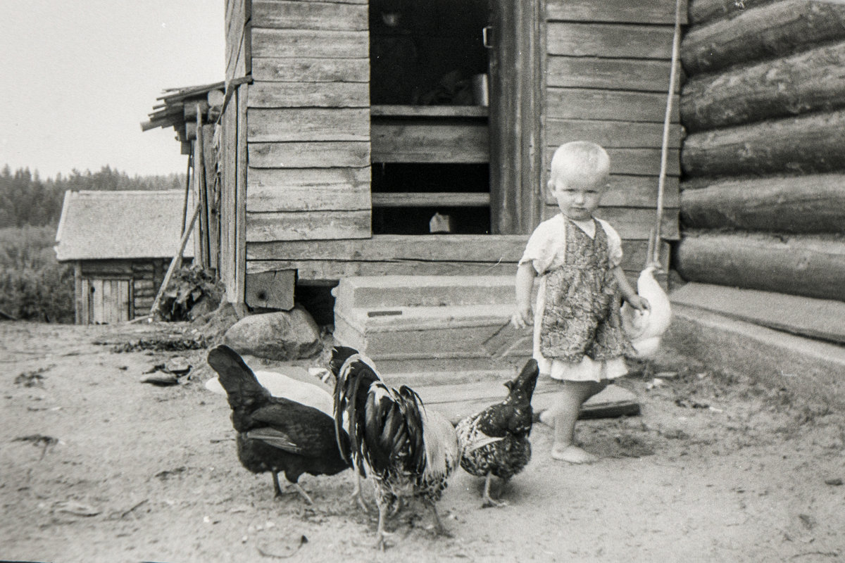 (оцифровка пленки 1969г.) - Николай 