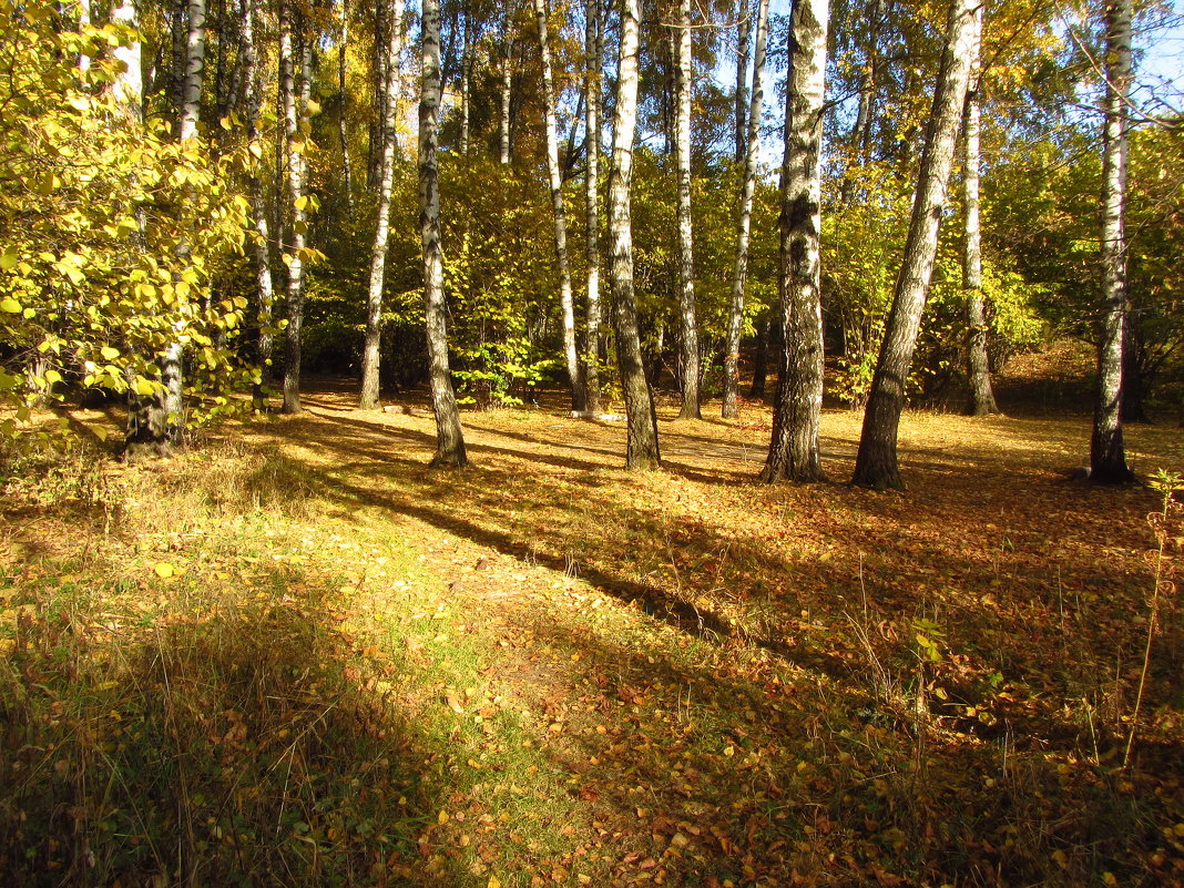 Осень, которая радует IMG_2191 - Андрей Лукьянов