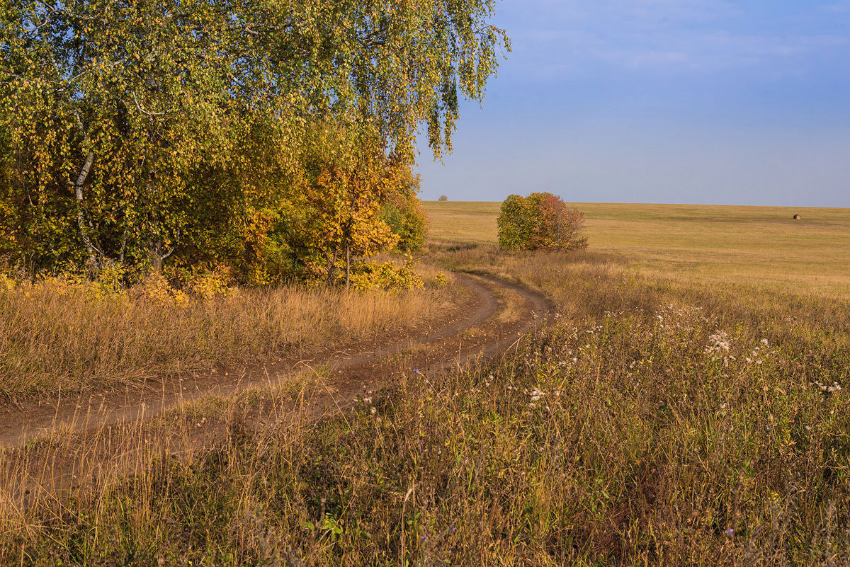 Дорога в осень - Любовь Потеряхина