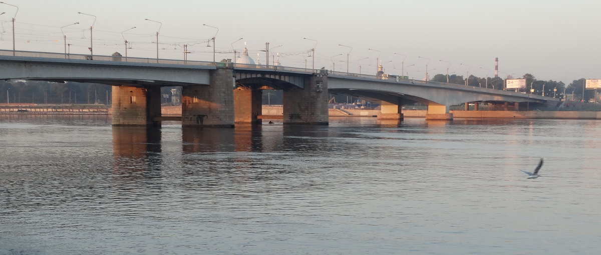 Мост Александа Невского - Владимир Гилясев